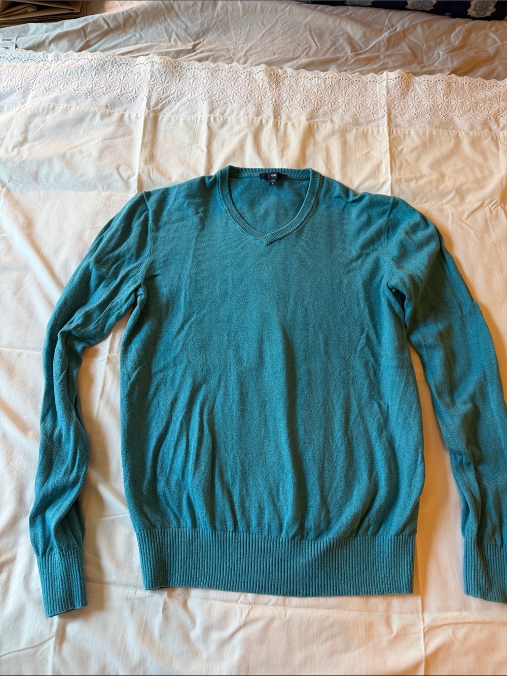 GAP Men's Teal-Green V-Neck Sweater
